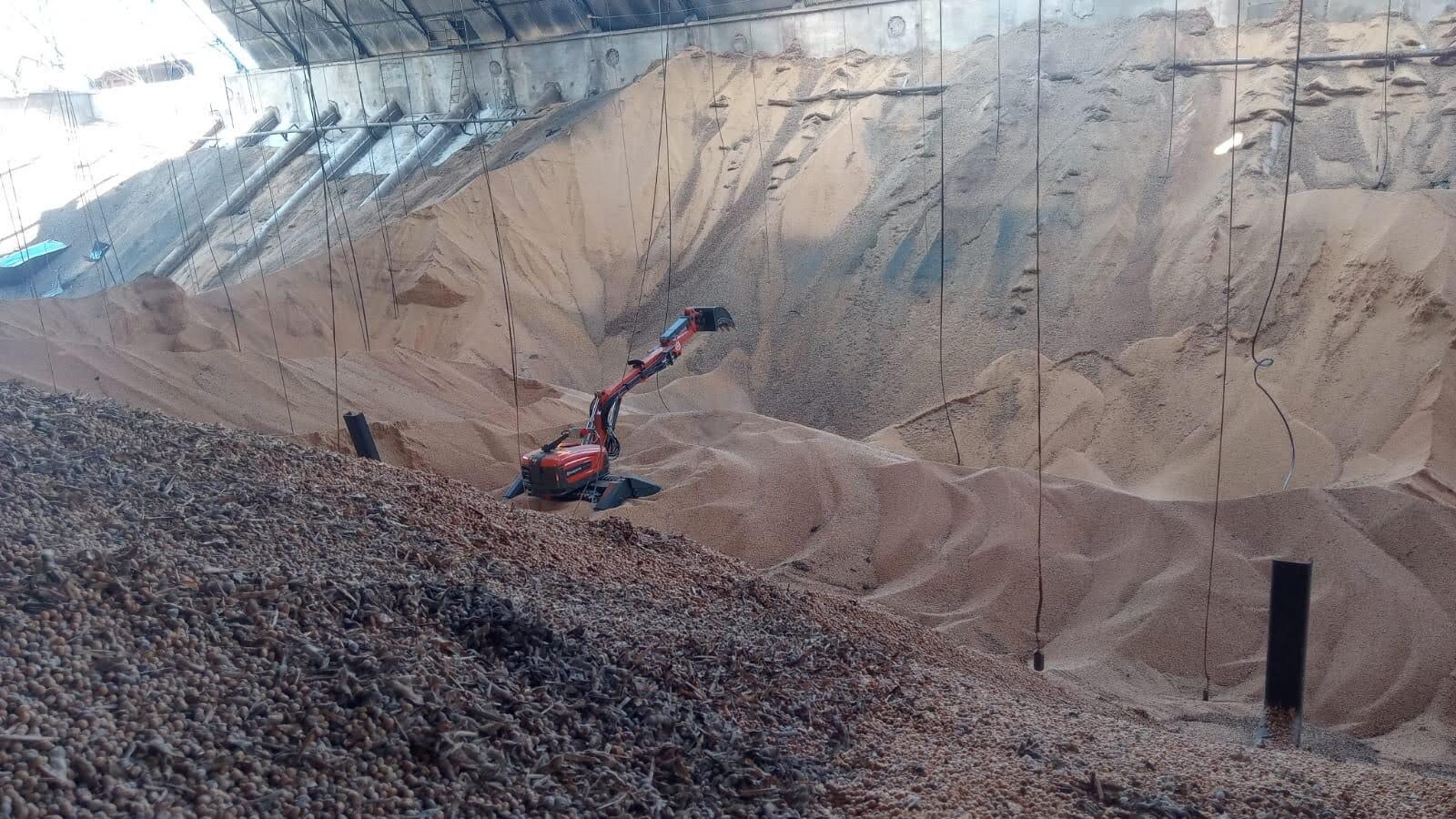 Produção de grãos no Brasil pode bater novo recorde em 2025